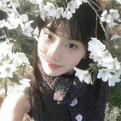 彩叶草之梦